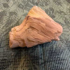 Petrified Wood Fossil Specimen, Natural Raw Fossil Wood